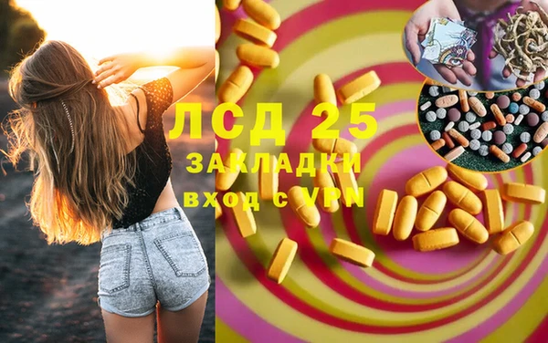 хмурый Алзамай