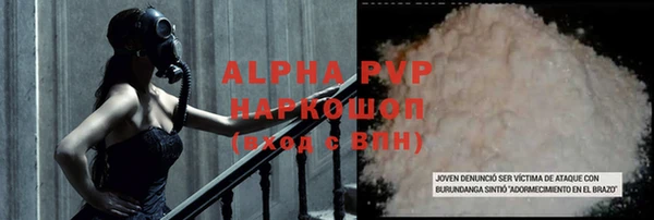 хмурый Алзамай