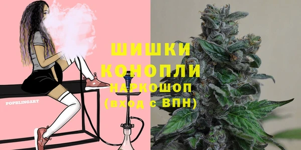 apvp Алексин