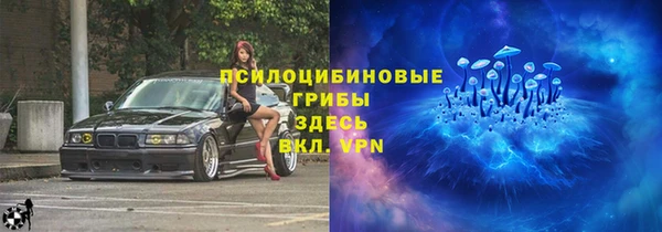 apvp Алексин